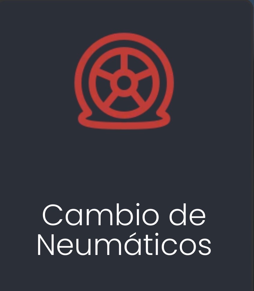 Cambio de Neumáticos